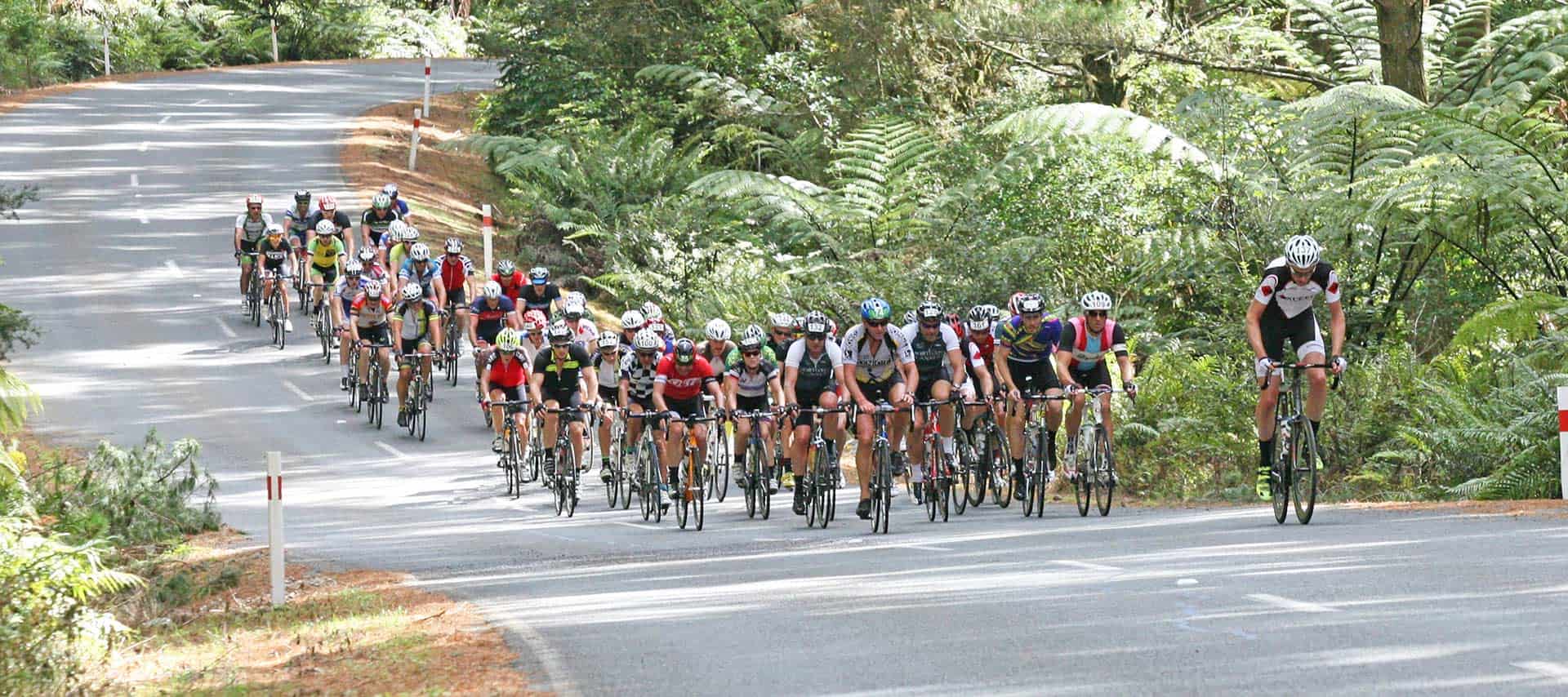 BDO Tour of Northland