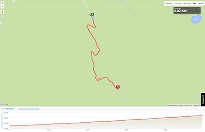 Wellington to Auckland course map - Stage 9